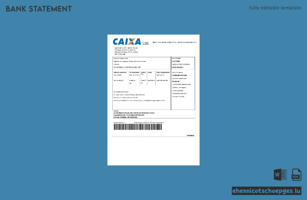 Beispiel für einen Kontoauszug der brasilianischen Caixo-Bank (Vorschau)